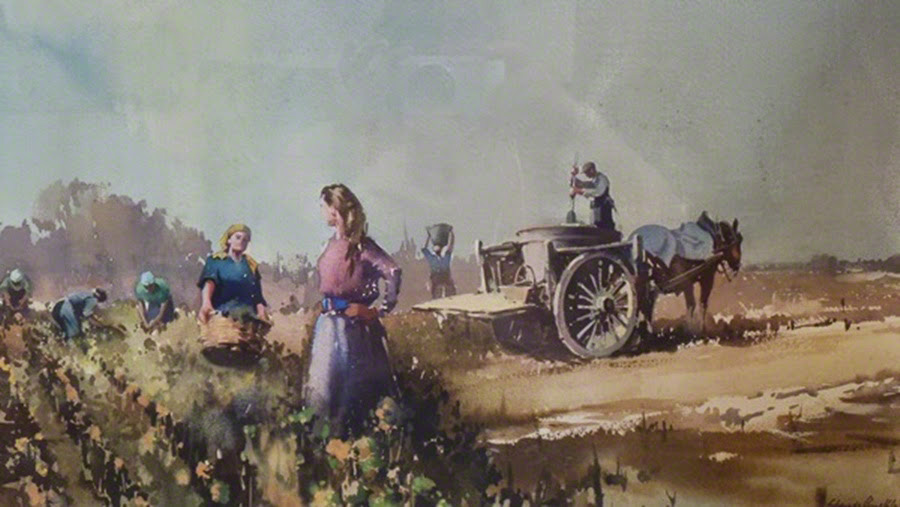 A water colour by Claude Buckle gathering grapes in France